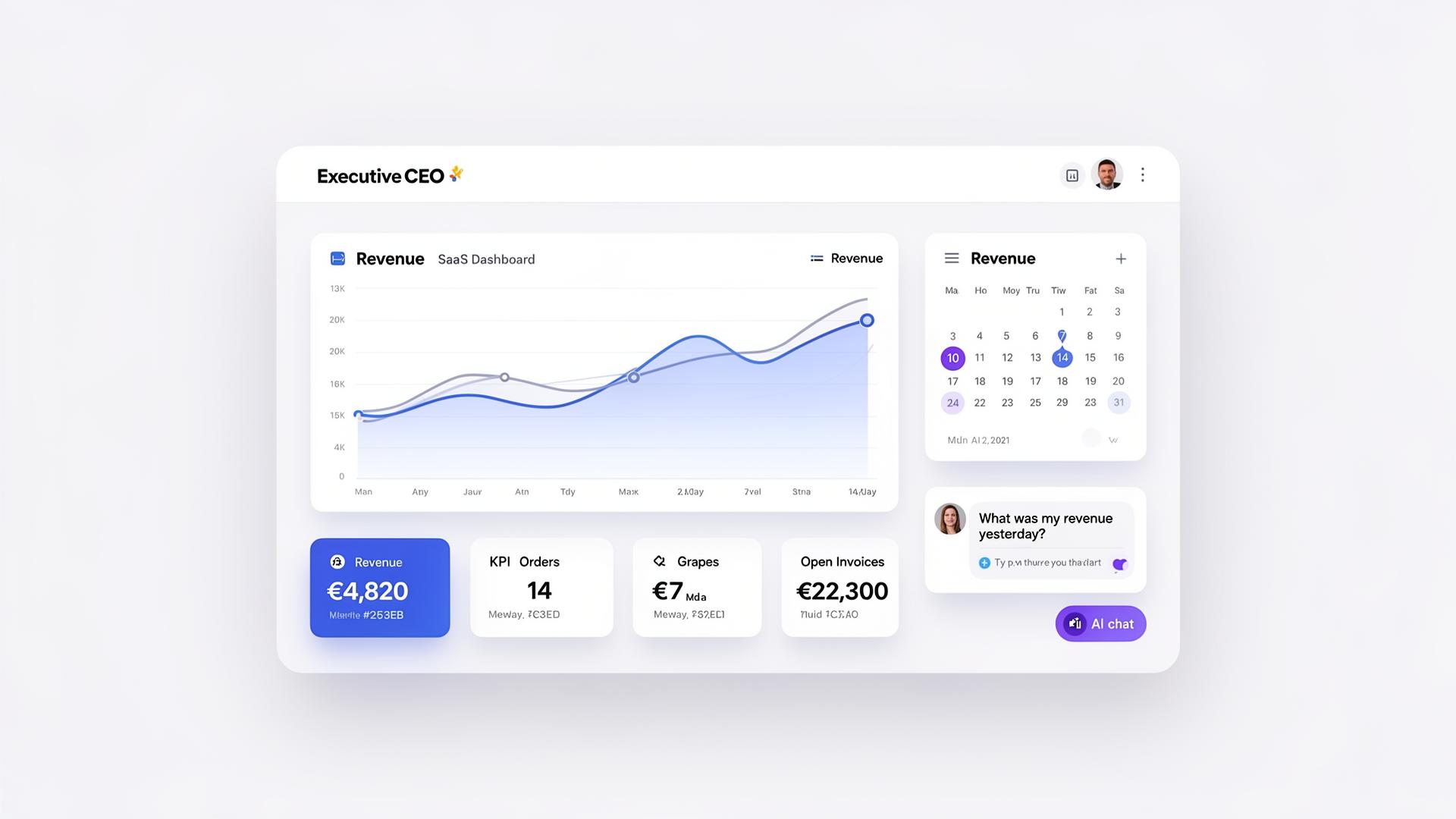 CEODash.nl CEO dashboard preview